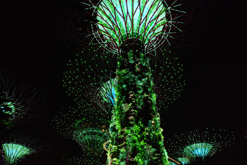 'Supertrees' im Gardens by the Bay